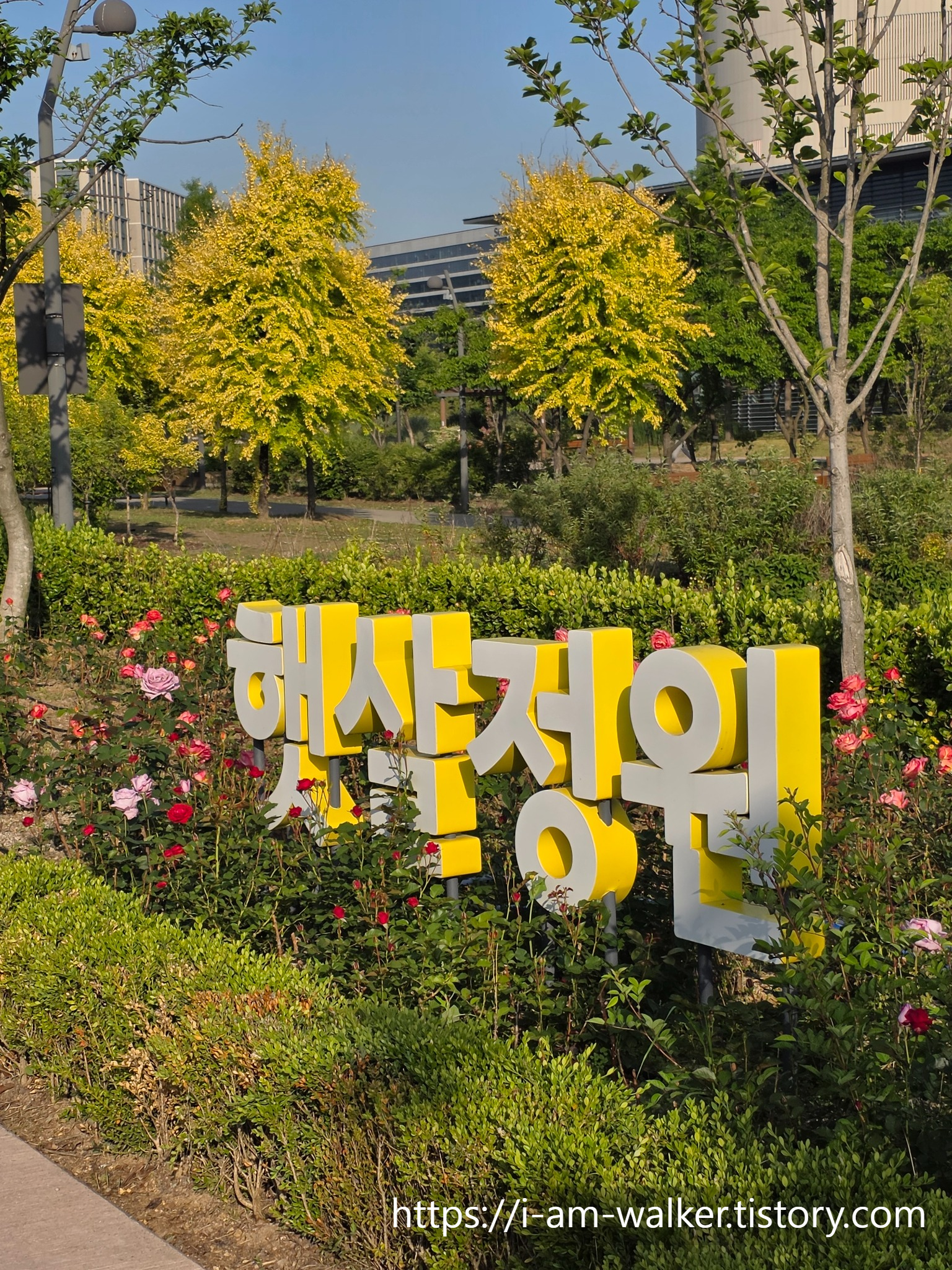 서울식물원, 햇살정원, 마곡서울식물원, 서울강서구가볼만한곳, 마곡가볼만한곳, 서울장미명소, 장미정원, 서울산책코스, 마곡나루산책, 서울식물원방문후기, 서울주말나들이, 서울데이트코스, 서울가족나들이, 마곡나루가볼만한곳, 서울무료나들이
