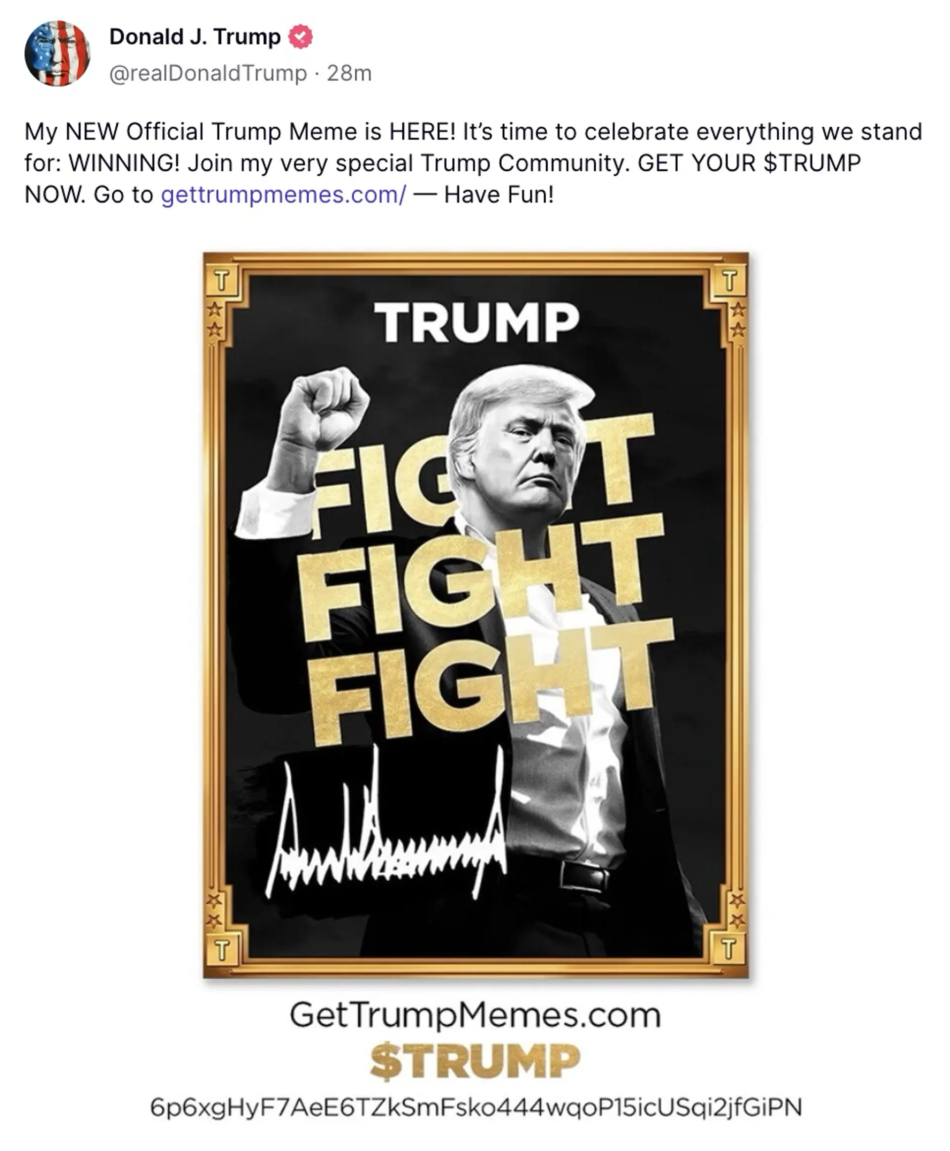 트럼크 코인 출시 알림