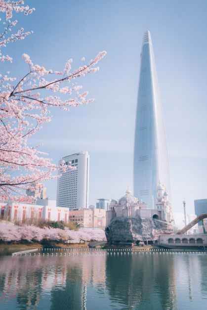 석촌호수 벚꽃축제 2026 일정&middot;가는길&middot;주차장 