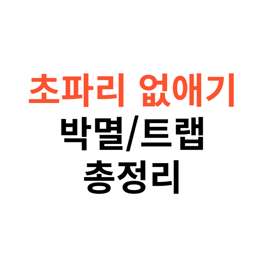 초파리 없애는 방법