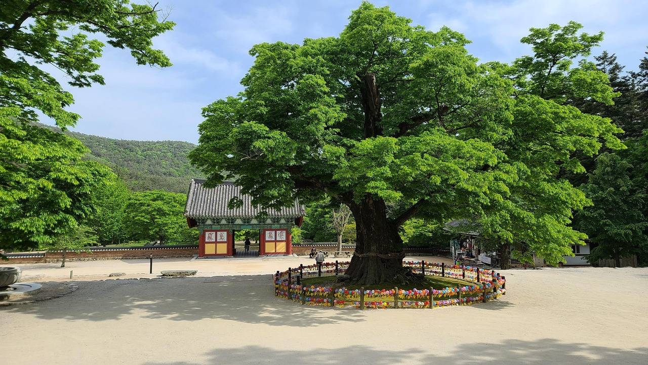 2025 여름맞이 숙박세일페스타 펜션 할인 총정리