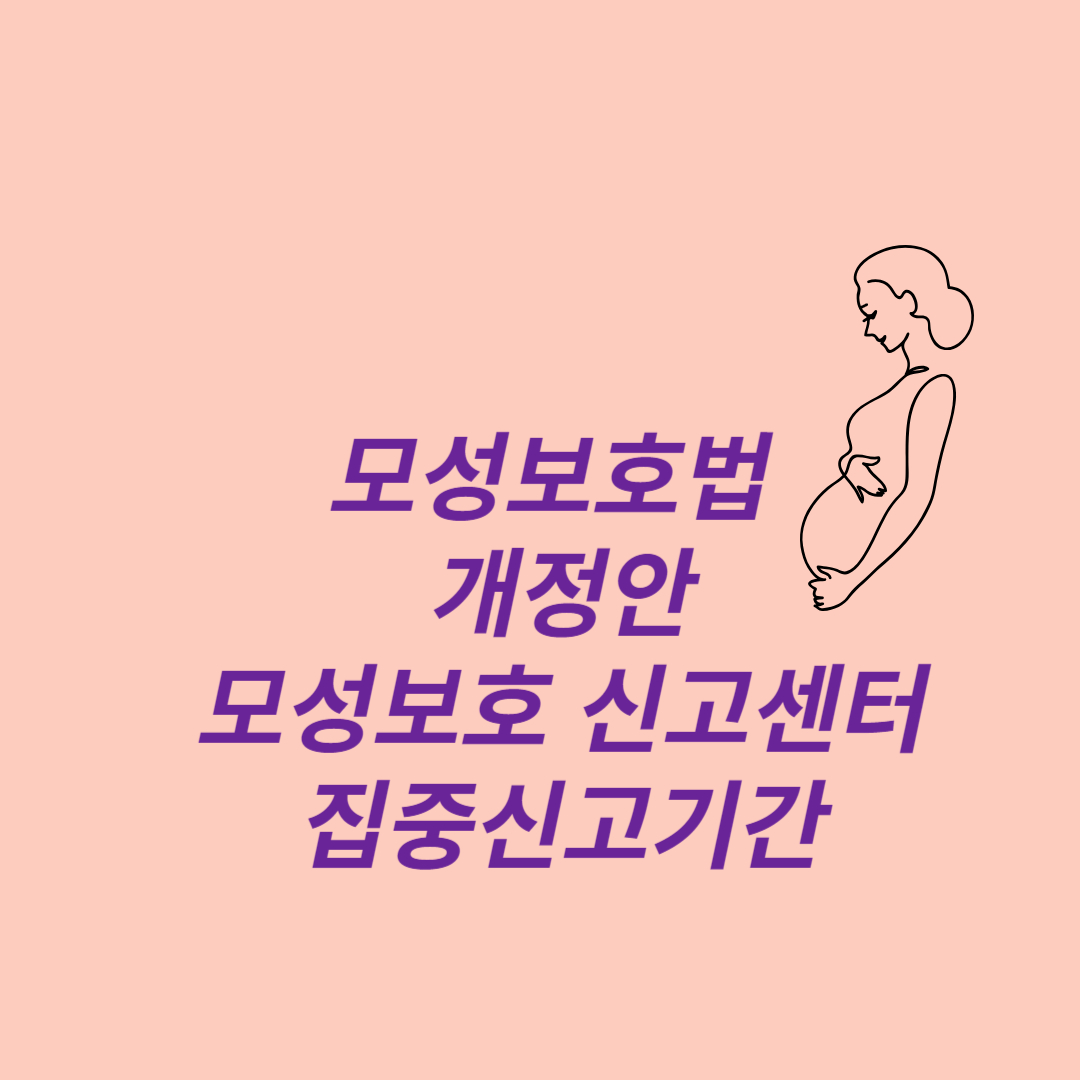 모성보호법 개정안 및 모성보호 신고센터 집중신고기간
