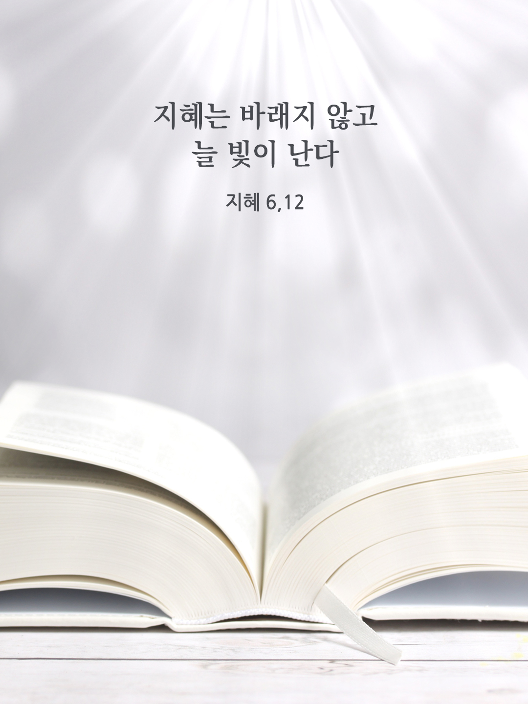 지혜는 바래지 않고 늘 빛이 난다. (지혜 6,12)