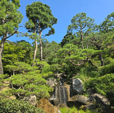 화담숲 예약 (ft. 할인 정보)