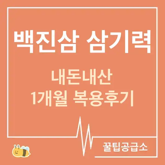 백진삼 삼기력 내돈내산 1개월 복용 후기