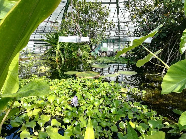 바젤대학교식물원