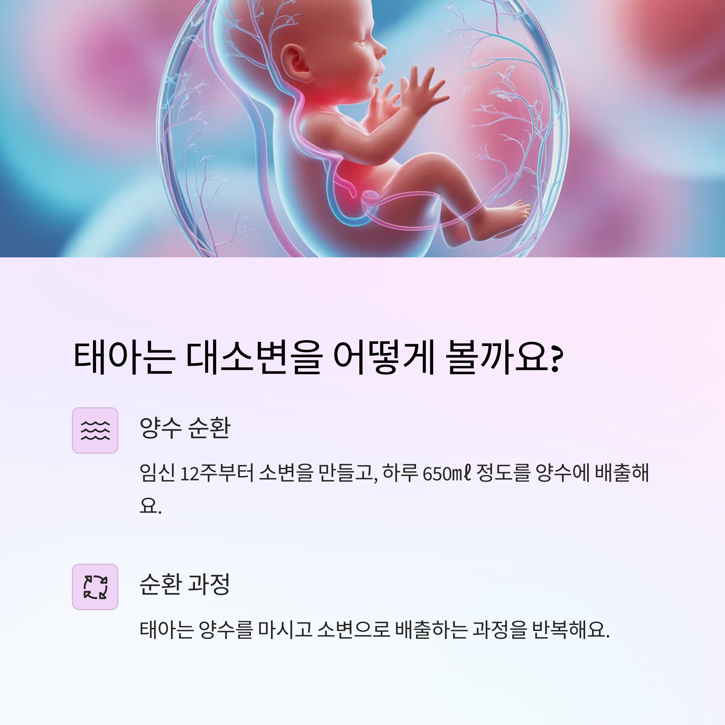 태아의 대소변 활동과 양수 순환 과정에 대한 설명