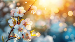 노인돌봄 서비스 신청방법과 비용&amp;#44; 꼭 알아야 할 꿀팁