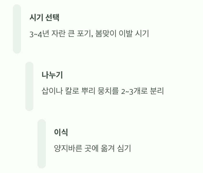 '씨앗'보다는 '포기나누기'