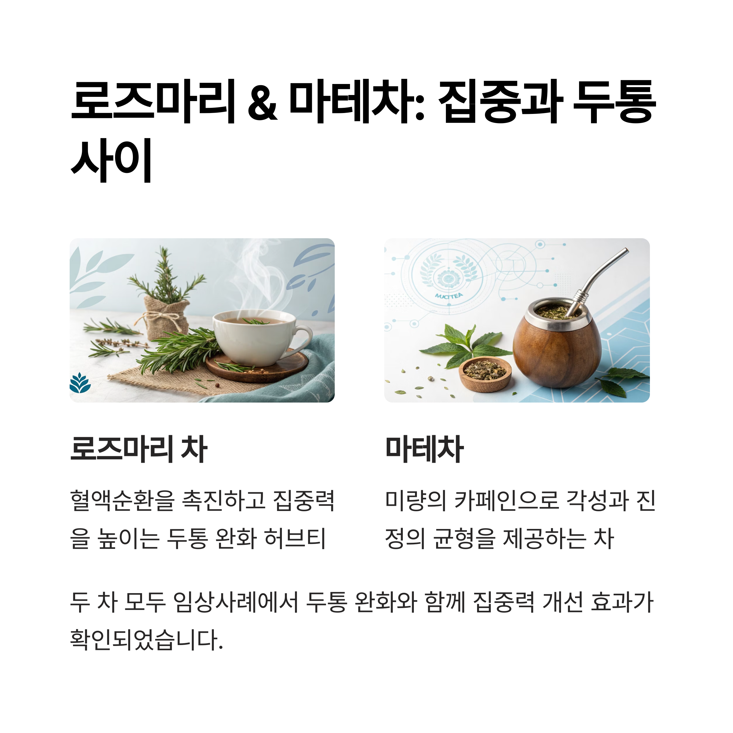 로즈마리 마테차 : 집중과 두통 사이