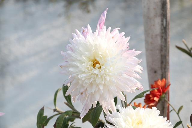 전국 지역별 화장시설 예약 방법 이용절차 이용료 사용료 화장예약서비스 화장 장사 관련 업무 상담 전화번호9