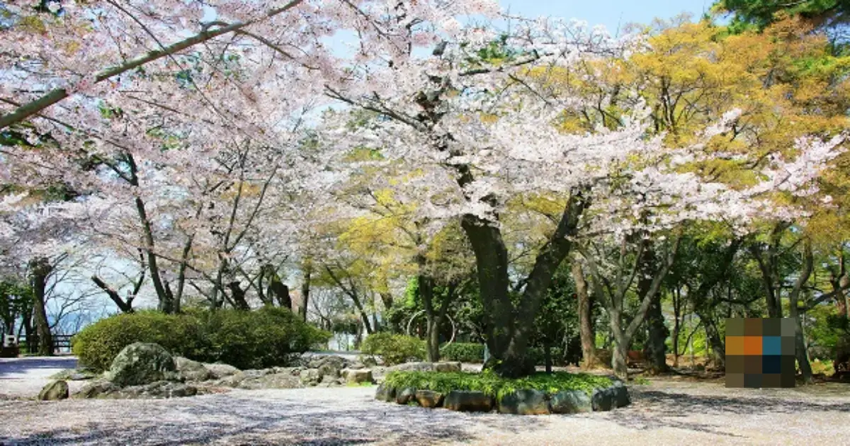 학성공원