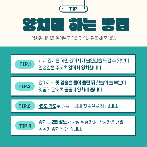 양치질 하는 방법