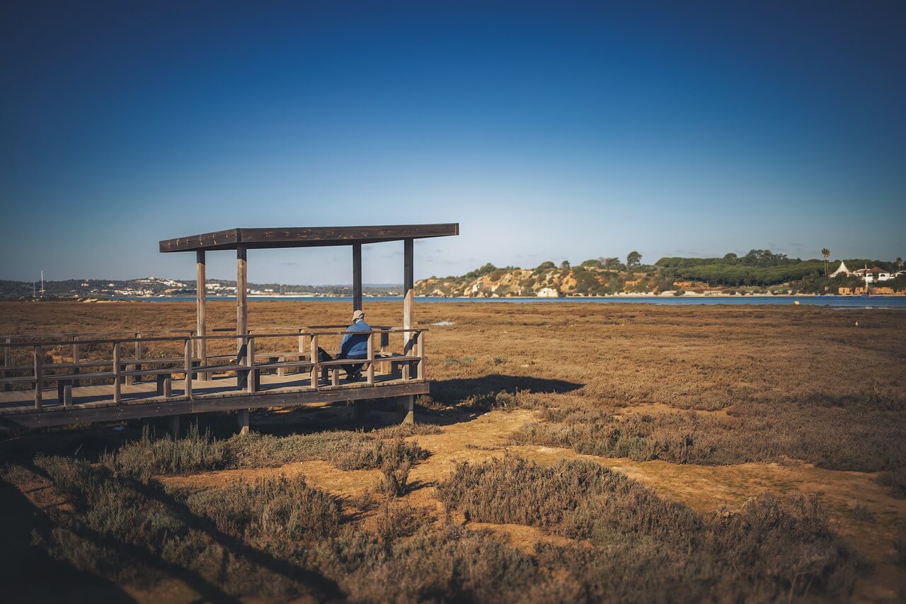 중년 남성을 위한 연금 절세 & 투자 전략
