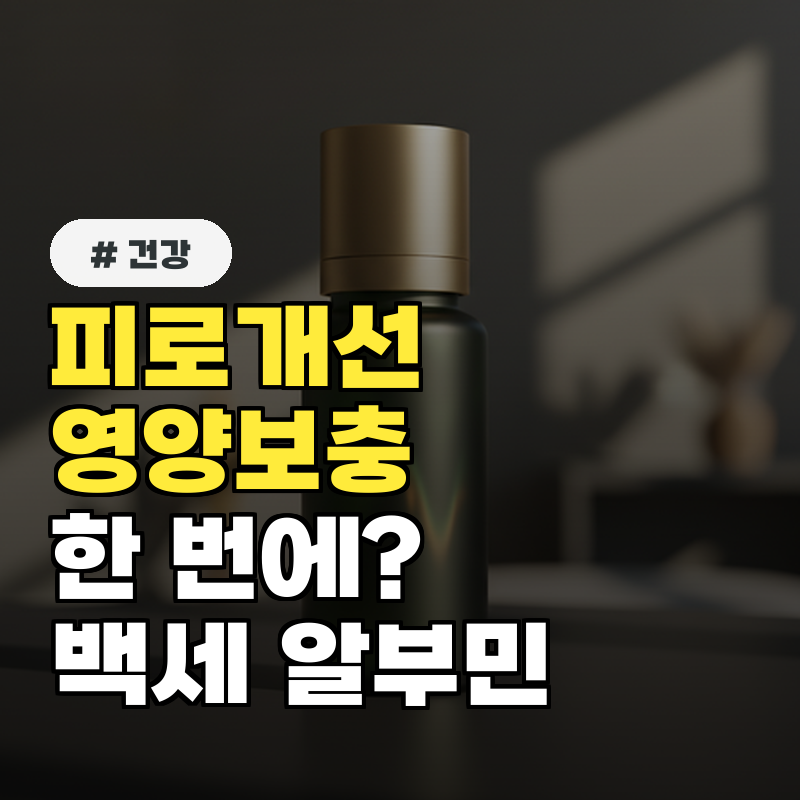 피로 개선·영양 보충까지 한 번에 백세 알부민의 진짜 효과