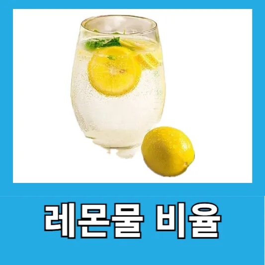 레몬물 다이어트 비율