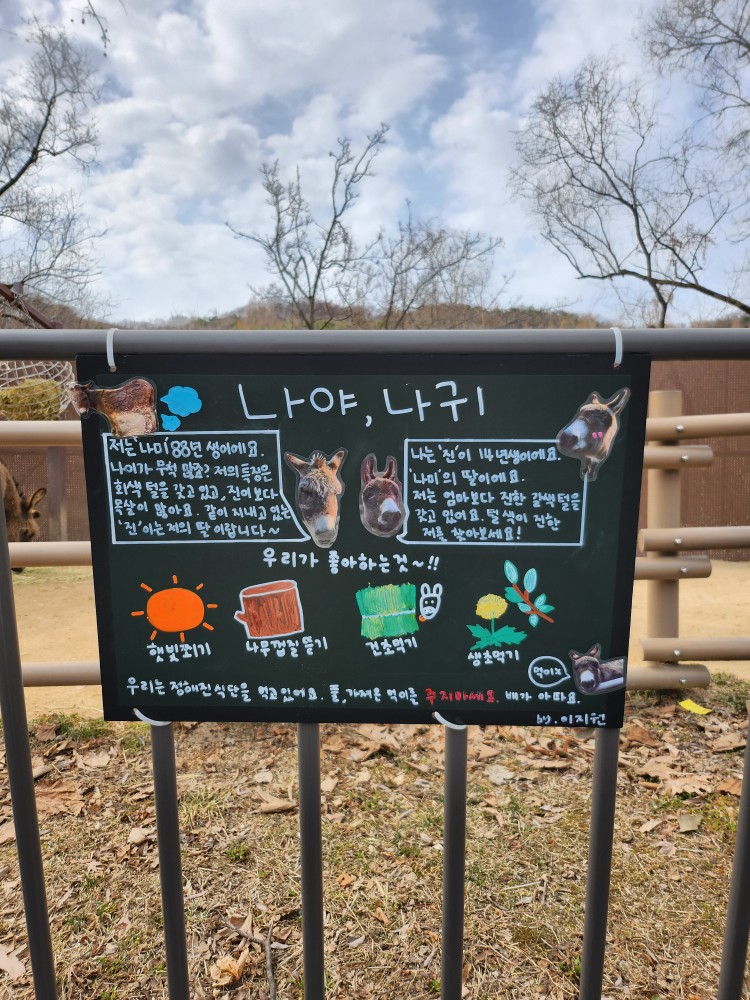 나귀