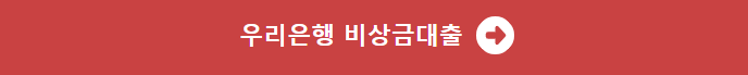 우리은행 비상금대출
