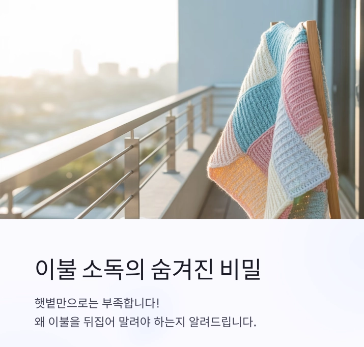 이불 소독, 햇볕만으론 부족하다 – 이불을 뒤집어 말려야 하는 과학적 이유
