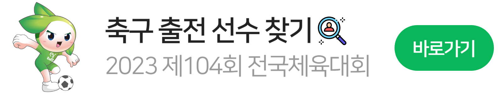 전국체육대회 축구 마스코트2