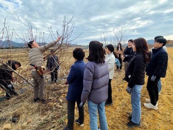 지도직 공무원의 주요 업무 및 담당 분야 소개