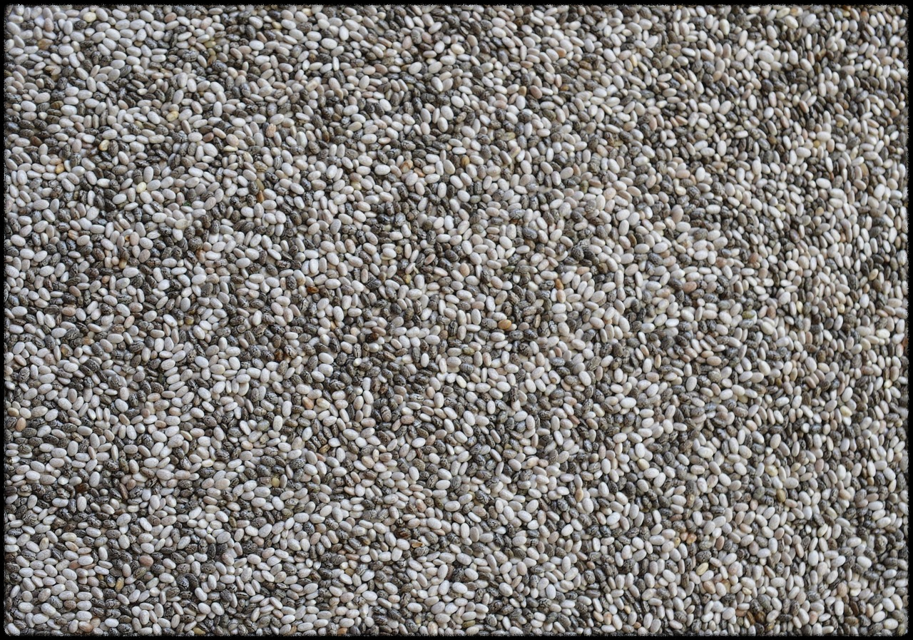 오메가3 효능 사진1