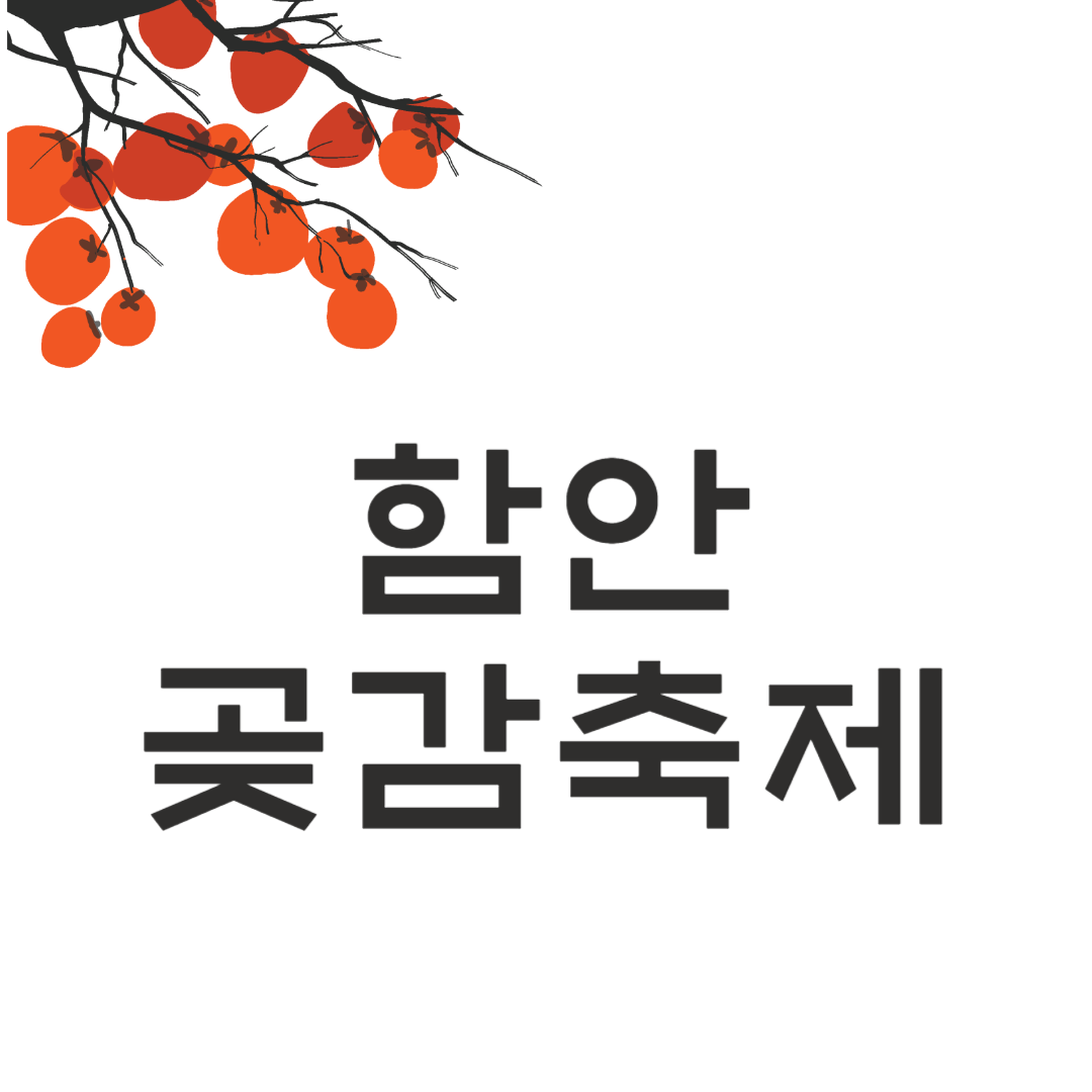 제13회 함안곶감축제 소개