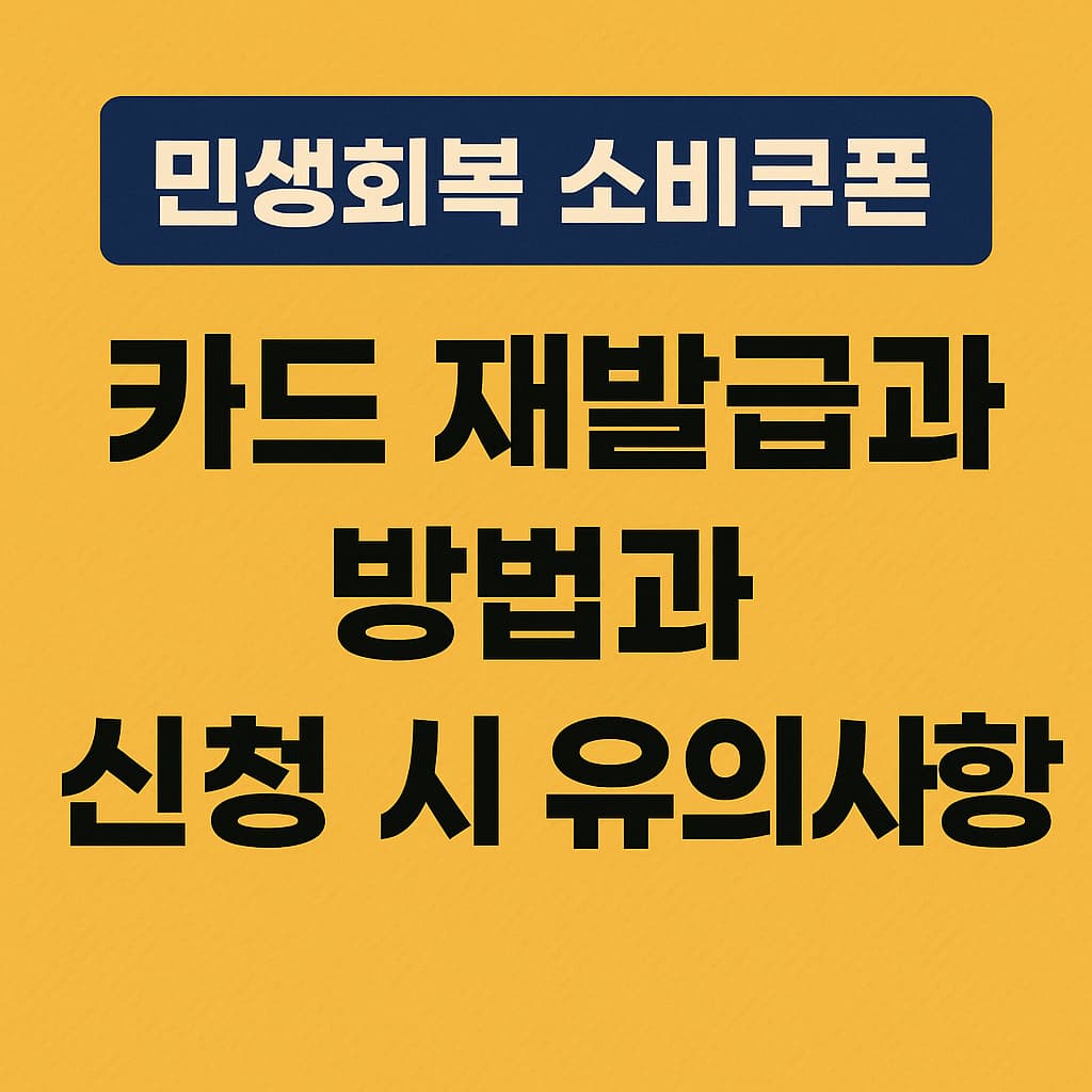 민생회복 소비쿠폰 카드 재발급