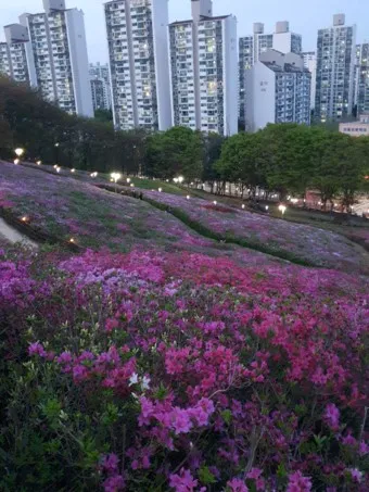 군포 가볼만한곳 베스트10 현지인 추천 필수코스_23