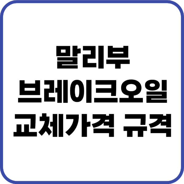 말리부 브레이크오일