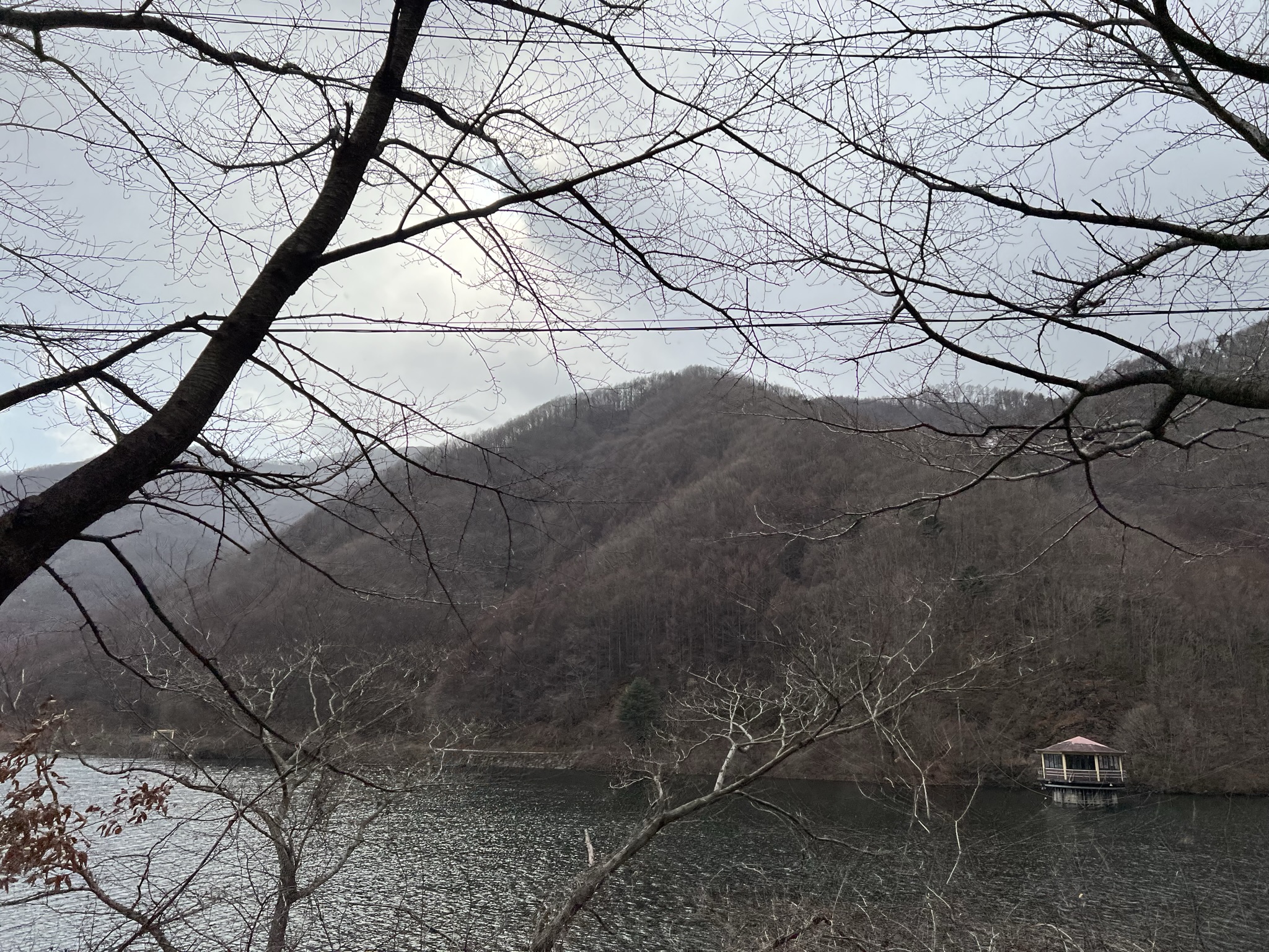 하동겨울여행-삼성궁가는길