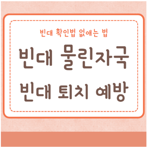 빈대 물린자국 빈대 퇴치 예방