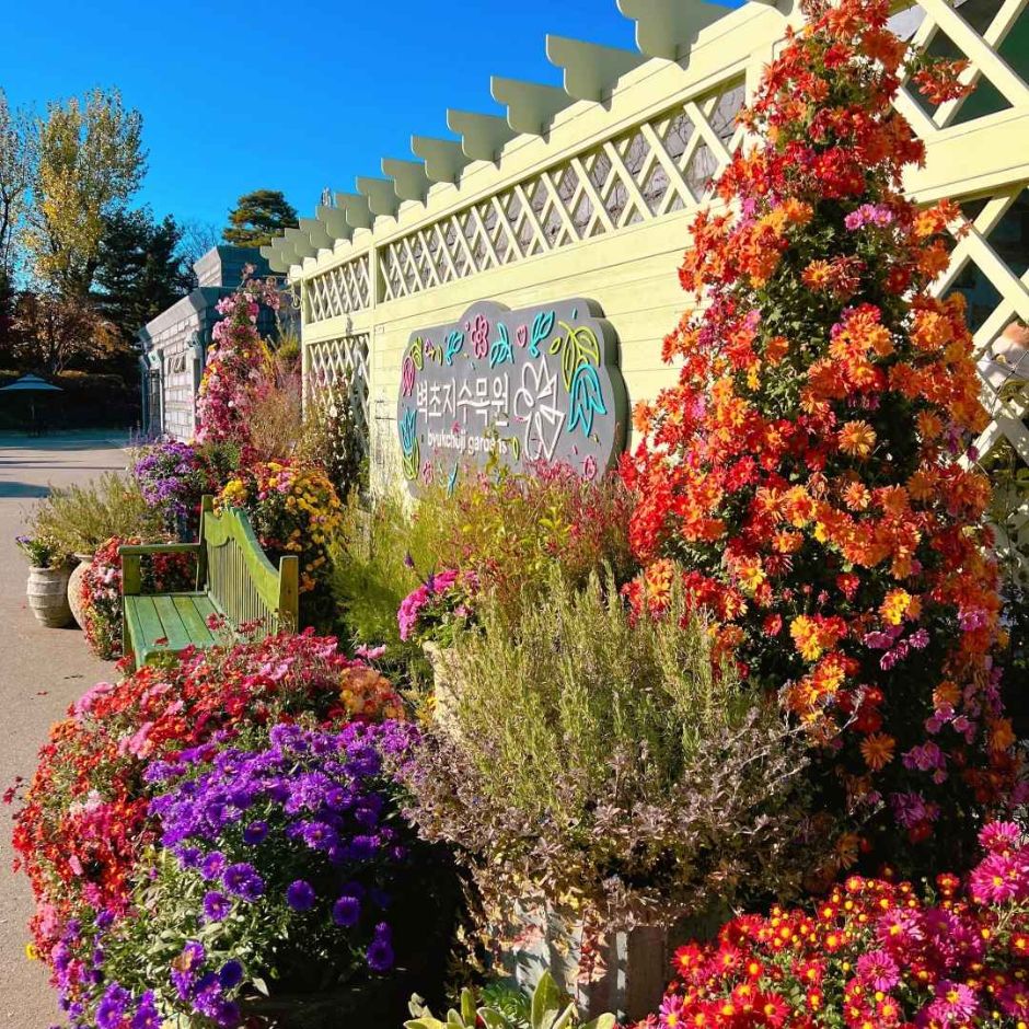 10월 경기 지역 가을 축제