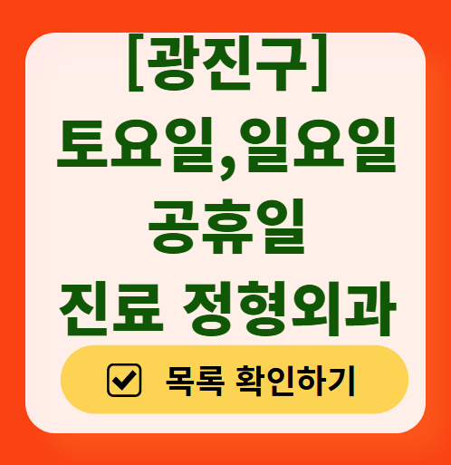 서울 광진구 일요일 문 여는 정형외과 목록 ❘ 토요일, 주말, 공휴일 진료 영업 병원 리스트