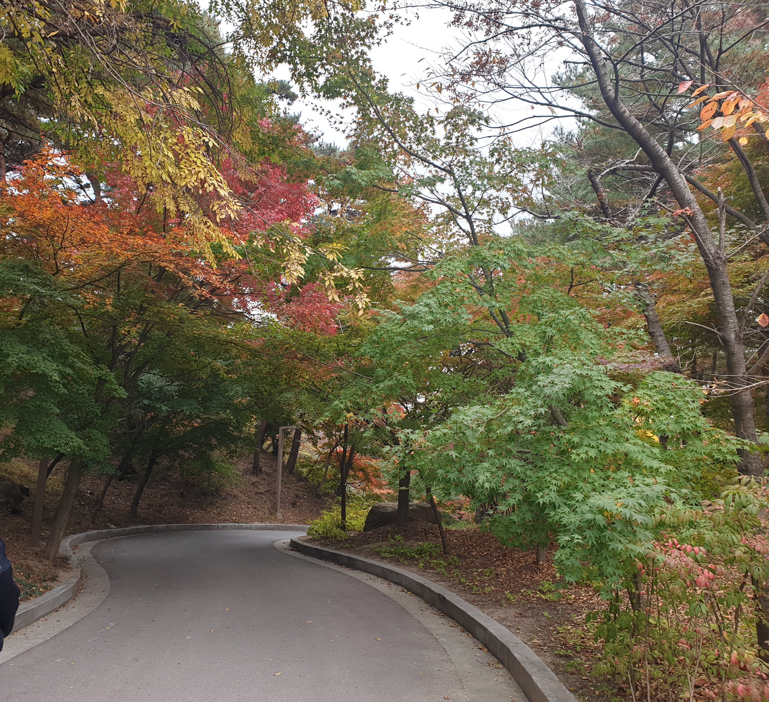 예산 수덕사 역사 자연 경관 활동 및 주변 관광지 안내