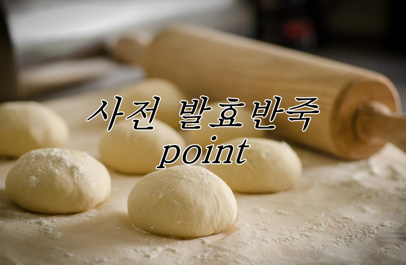 alt"사전 발효반죽"