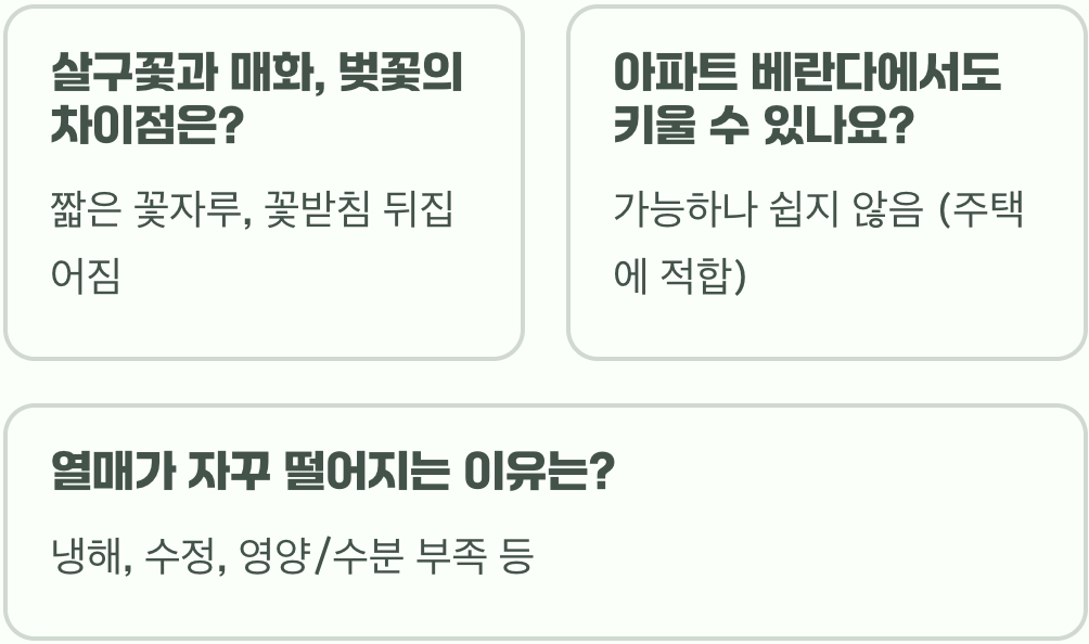 살구나무 키우기 A to Z (묘목 심기부터 가지치기, 수확까지)