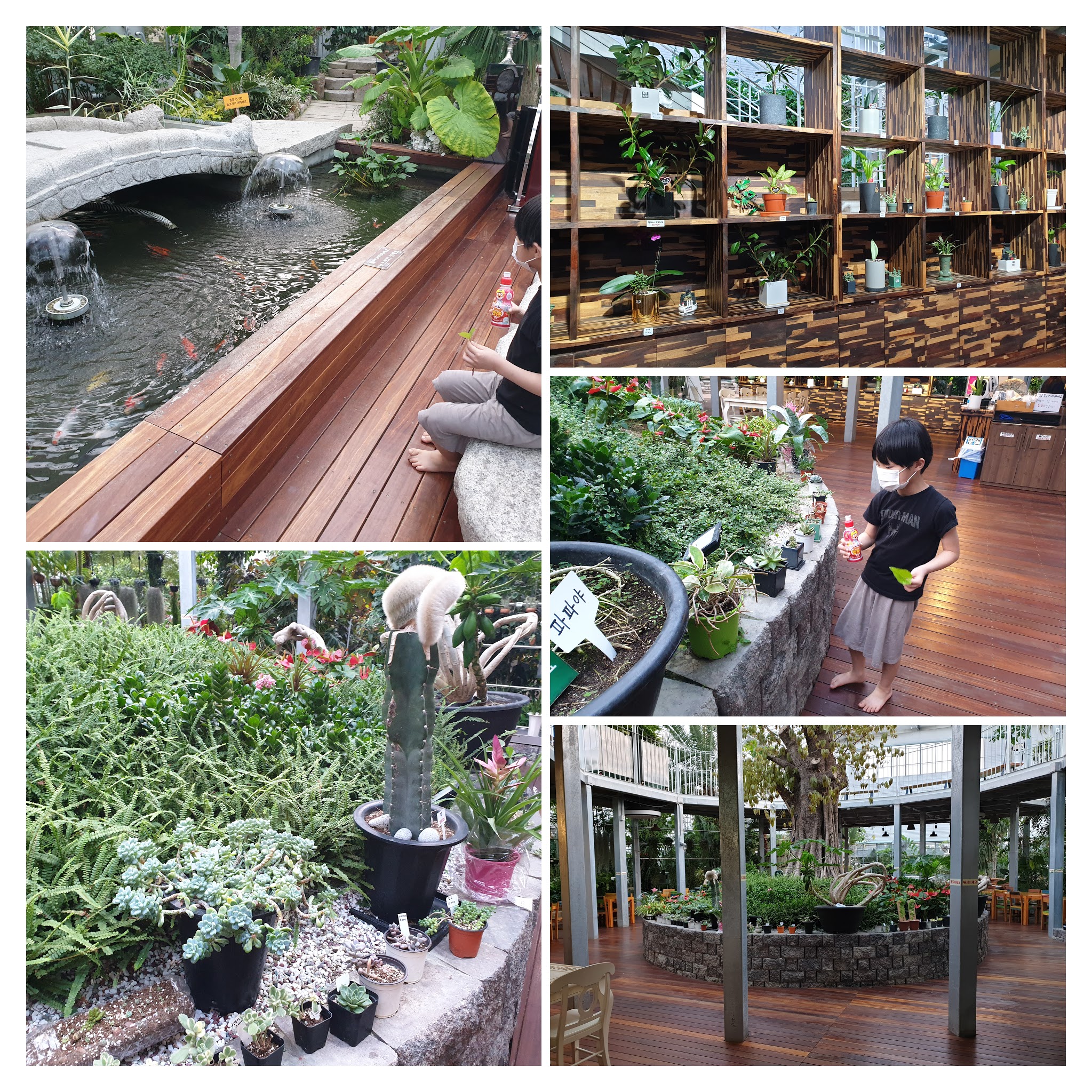 바오밥식물원베이커리카페 후기