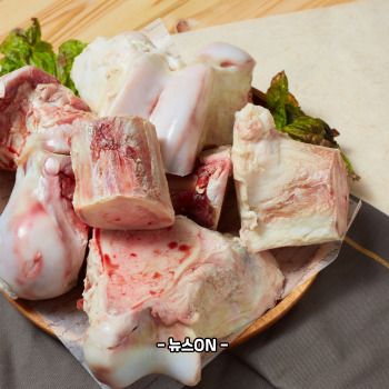 콜라겐 많은 음식