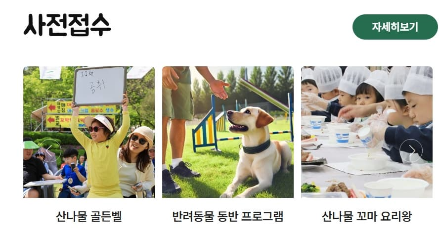 [4월 축제]양평 용문산 산나물축제❘기간, 일정, 프로그램, 사전 예약 방법