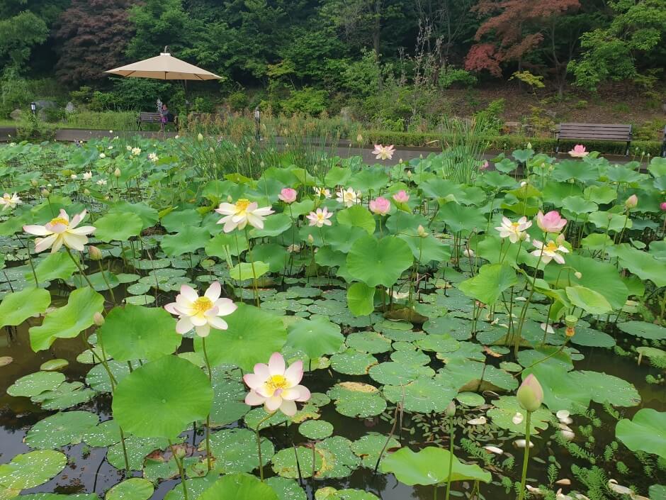 군포 가볼만한곳 베스트 10