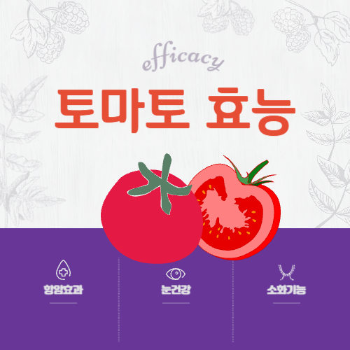 토마토 효능