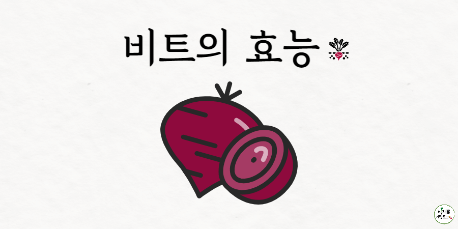 비트의-효능-썸네일