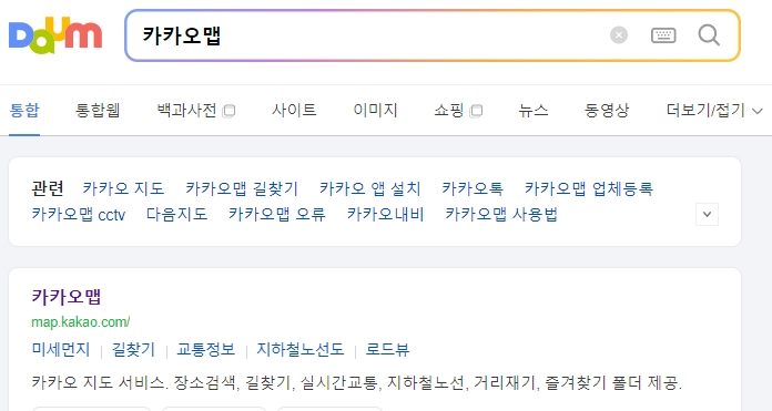 카카오맵 어플리케이션 메인 화면