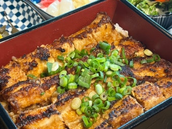 부산 바다앤장어