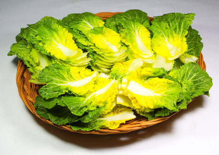 노란 속이 맛있어 보이는 봄동