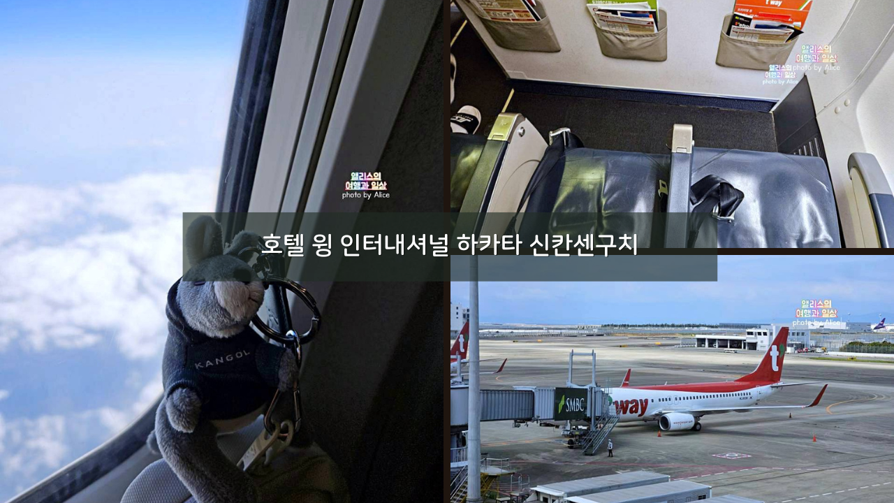 202304 부산 김해 (PUS) - 오사카 간사이 (KIX) 티웨이 항공 + 위탁수하물 가격