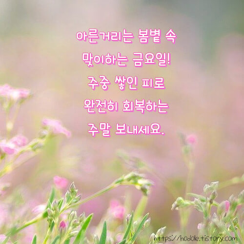 봄햇살