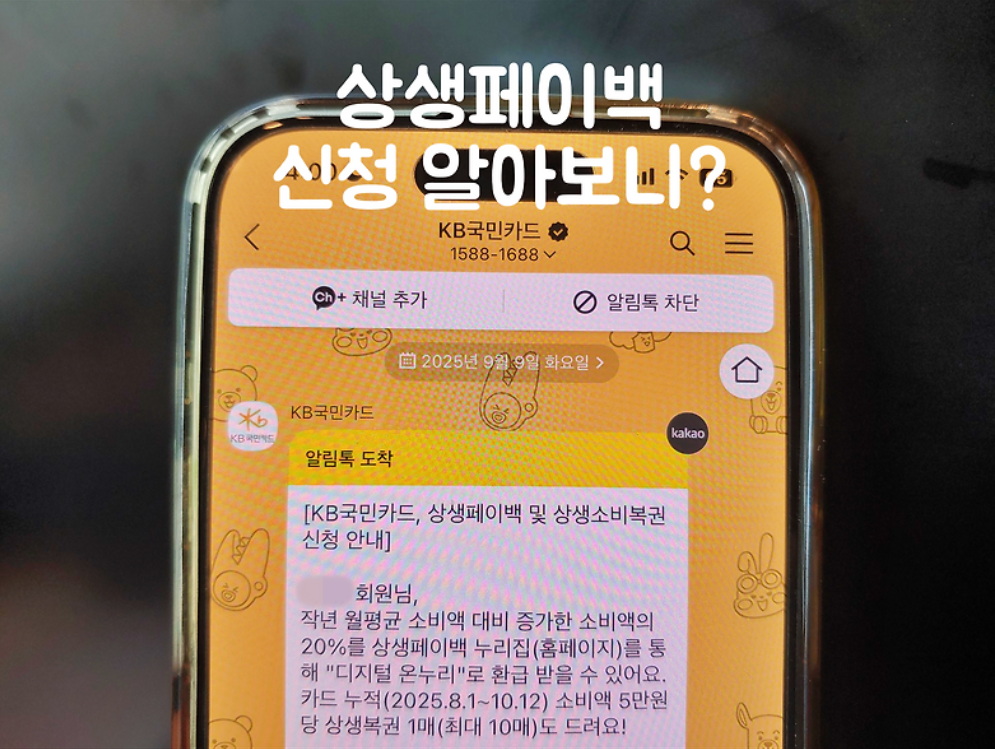 상생페이백