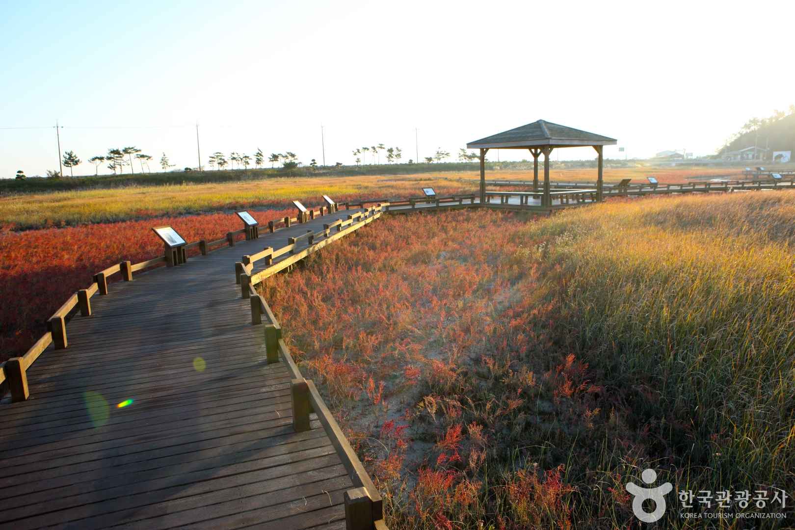 신안 태평염생식물원